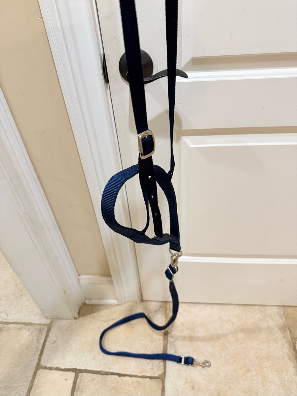 Weaver western horse size Adjustable Navy Horse Webbing TIE Down 2 piece buckled